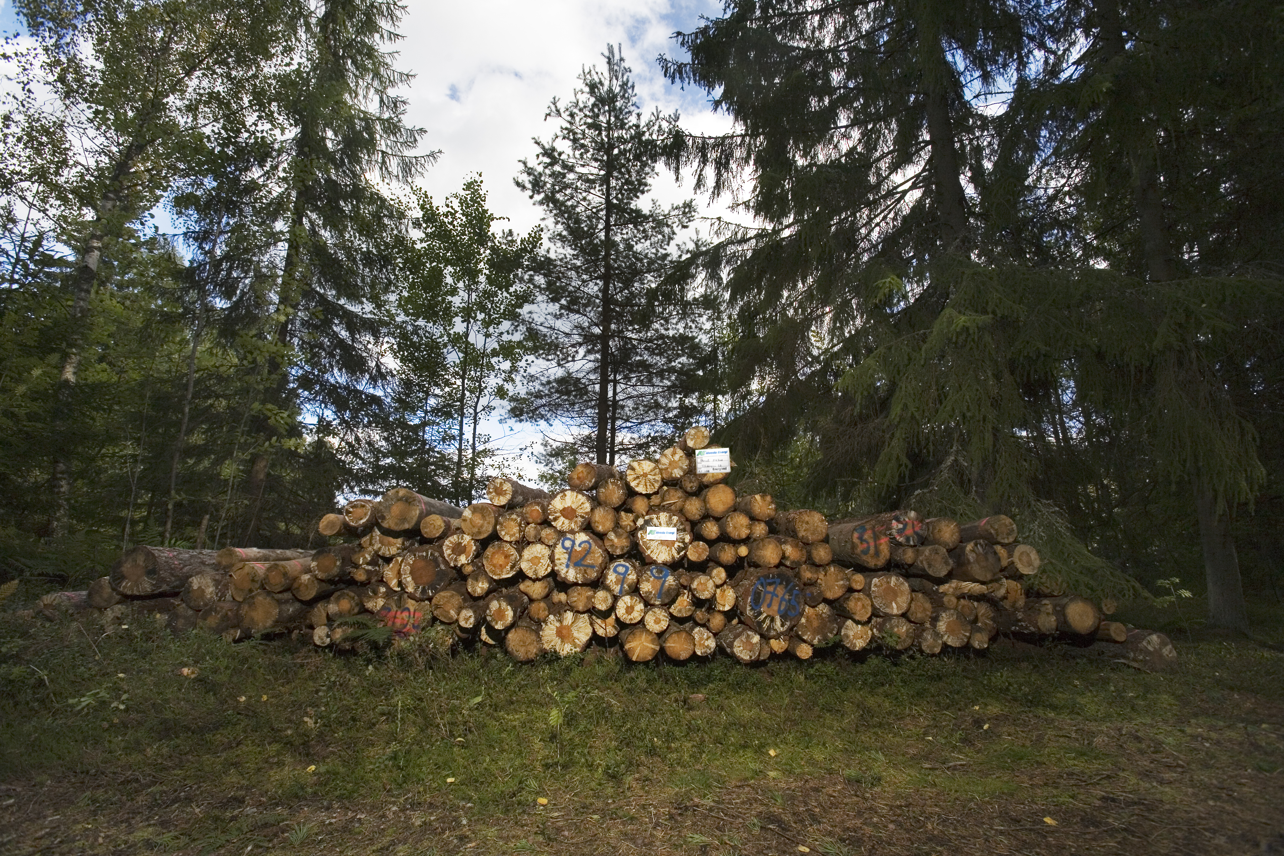 Alvesta Energi först i Småland med småskalig kraftvärme